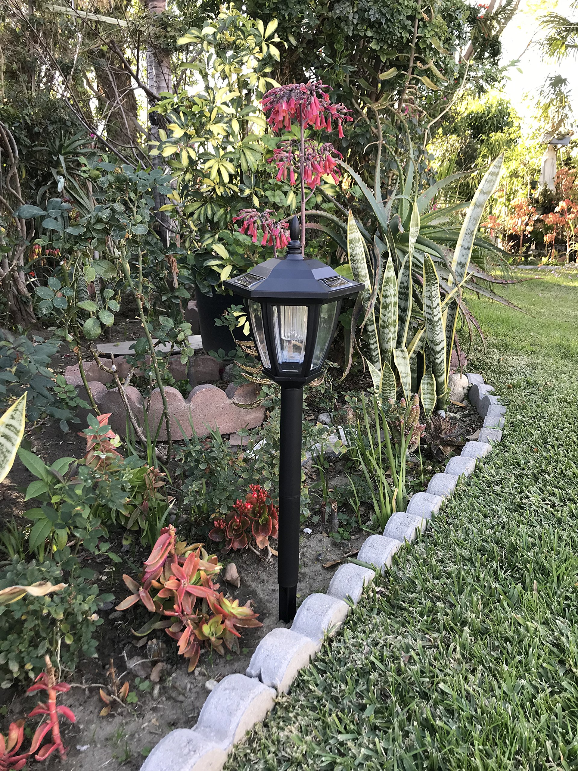 Solar Hexagon Wall Mount and Stakes Landscape Light with 6 Bright